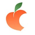 PeachSkinSheets logo