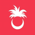 Palmy Pineapple logo