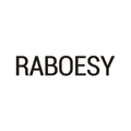 RABOESY logo
