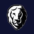 Aslan Mattress logo