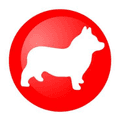 Corgi UK
