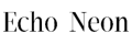 Echo Neon logo